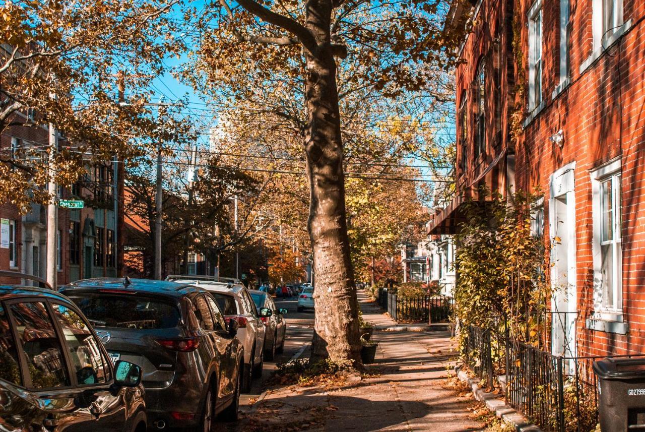 Gorgeous 1Br Wooster Sq. Apt. - Wshr/Dryr, Parking New Haven Zewnętrze zdjęcie